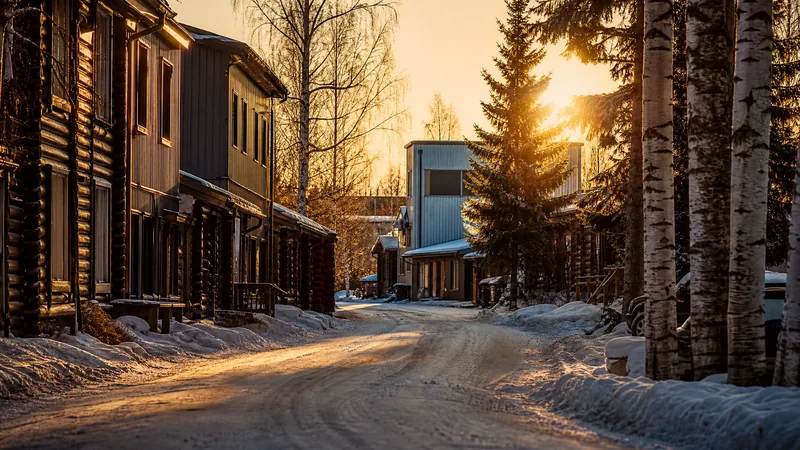 Interior boreal town street with log and metal buildings under a pale sky, Fairbanks Business License